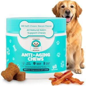 Anti-Aging Dog Supplement – Soft Chews for Senior Dogs with NAD+ Support